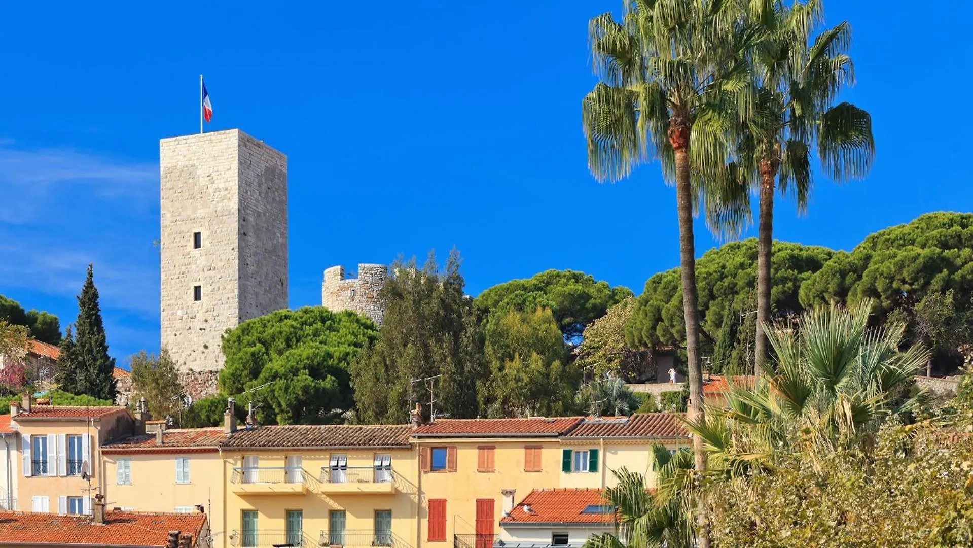 Residence Aout 41 Cannes
